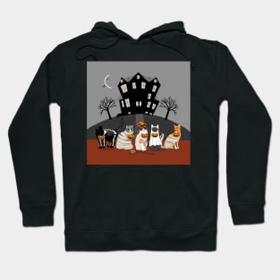 The Trick or Treat Kitties (full) Hoodie